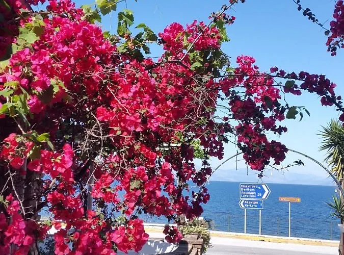 Faliraki Aparthotel Benitses (Corfu)