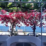 Faliraki 3* Benitses (Corfu)