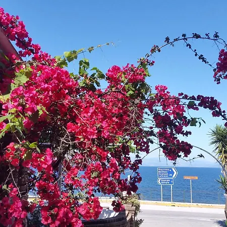 Faliraki 4* Benitses (Corfu)
