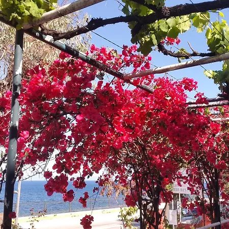 Faliraki 4*