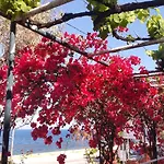 Faliraki 3*
