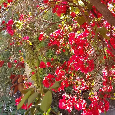 شقة فندقية Faliraki 4*