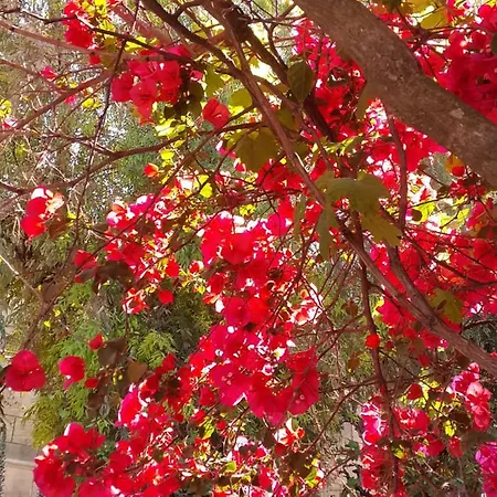 شقة فندقية Faliraki 4*