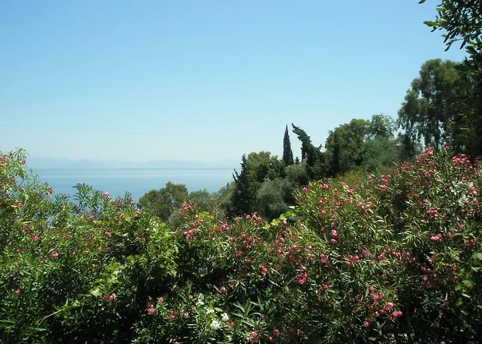 Faliraki Benitses (Corfu)