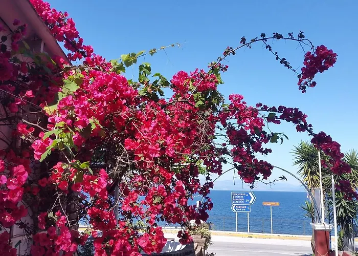 Faliraki 3* Benitses (Corfu)