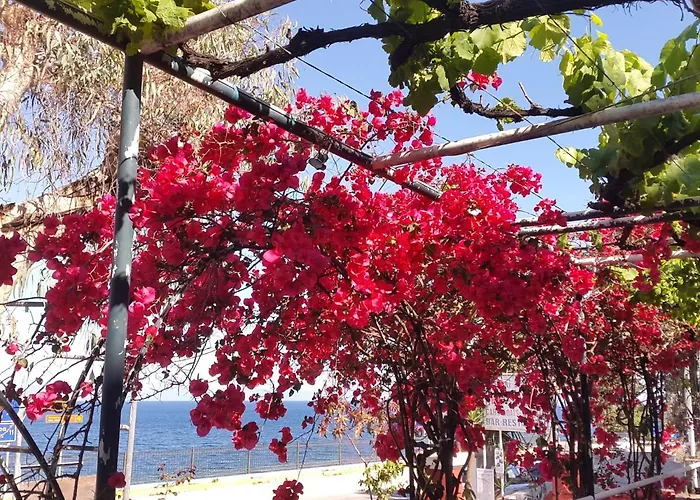 Faliraki 3*